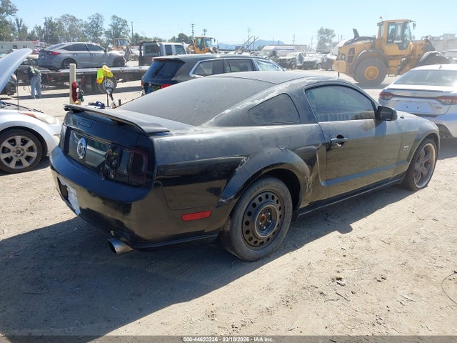 2005 FORD MUSTANG 1ZVFT82H555241823 Photo 3