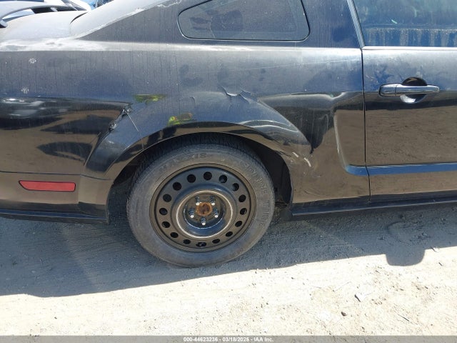 2005 FORD MUSTANG 1ZVFT82H555241823 Photo 5