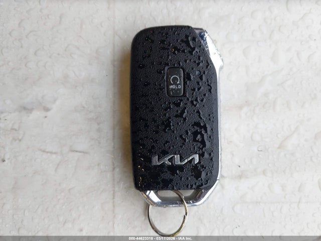 2022 KIA TELLURIDE 5XYP3DHC3NG218320 Photo 10