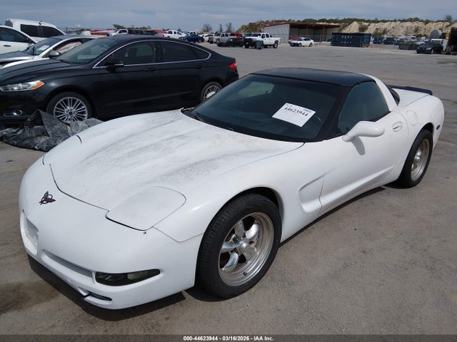 2004 CHEVROLET CORVETTE 1G1YY22G745114967 Photo 1