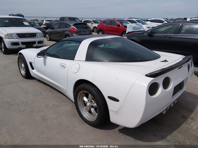 2004 CHEVROLET CORVETTE 1G1YY22G745114967 Photo 2
