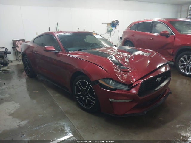 2019 FORD MUSTANG 1FA6P8THXK5112516
