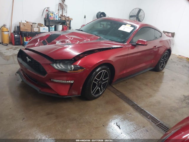 2019 FORD MUSTANG 1FA6P8THXK5112516 Photo 1
