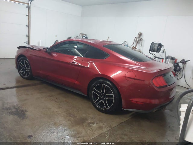 2019 FORD MUSTANG 1FA6P8THXK5112516 Photo 2