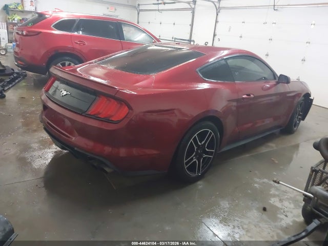 2019 FORD MUSTANG 1FA6P8THXK5112516 Photo 3