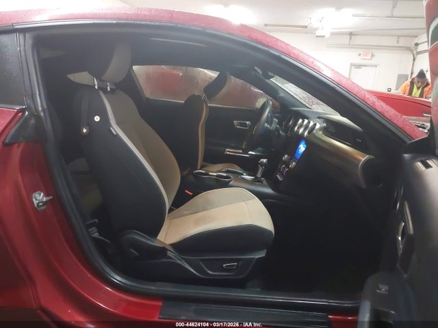 2019 FORD MUSTANG 1FA6P8THXK5112516 Photo 4