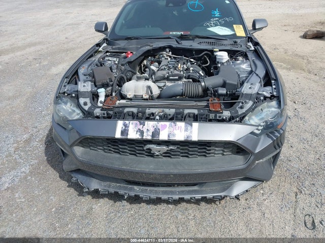 Продаж на аукціоні авто 2021 Ford Mustang Ecoboost Fastback, vin: 1FA6P8TH8M5151446, номер лоту: 44624711