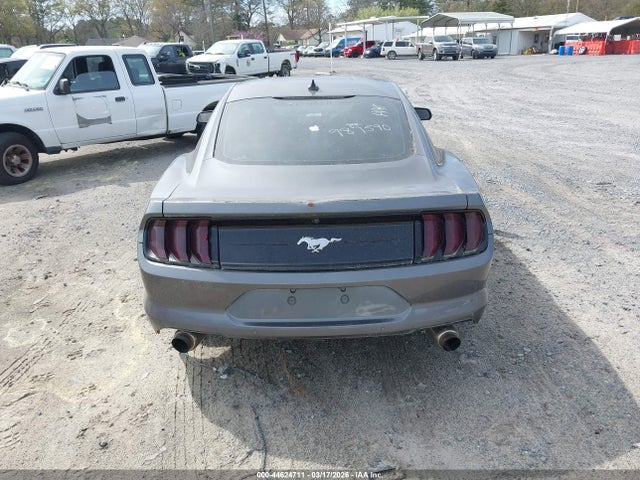 Продаж на аукціоні авто 2021 Ford Mustang Ecoboost Fastback, vin: 1FA6P8TH8M5151446, номер лоту: 44624711