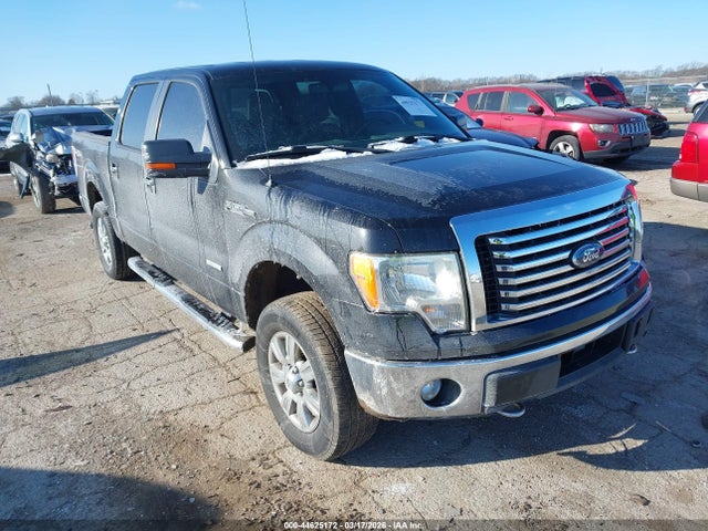 2011 FORD F-150 1FTFW1ET4BFB31157