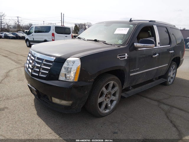 2011 CADILLAC ESCALADE 1GYS4CEF6BR155589 Photo 1