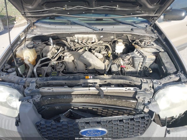 Auction sale of the 2007 Ford Escape Xlt/xlt Sport, vin: 1FMYU031X7KB25481, lot number: 44627665