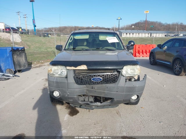 Auction sale of the 2007 Ford Escape Xlt/xlt Sport, vin: 1FMYU031X7KB25481, lot number: 44627665