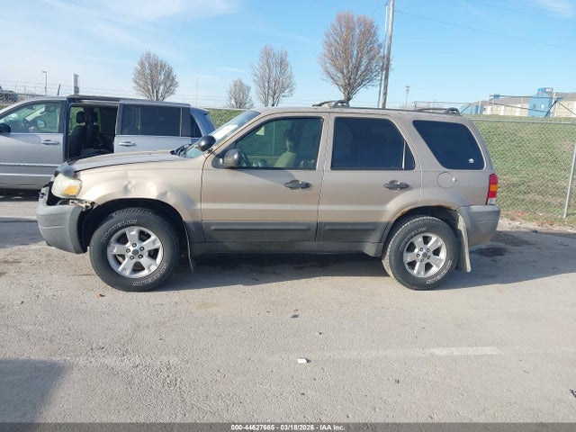 Auction sale of the 2007 Ford Escape Xlt/xlt Sport, vin: 1FMYU031X7KB25481, lot number: 44627665