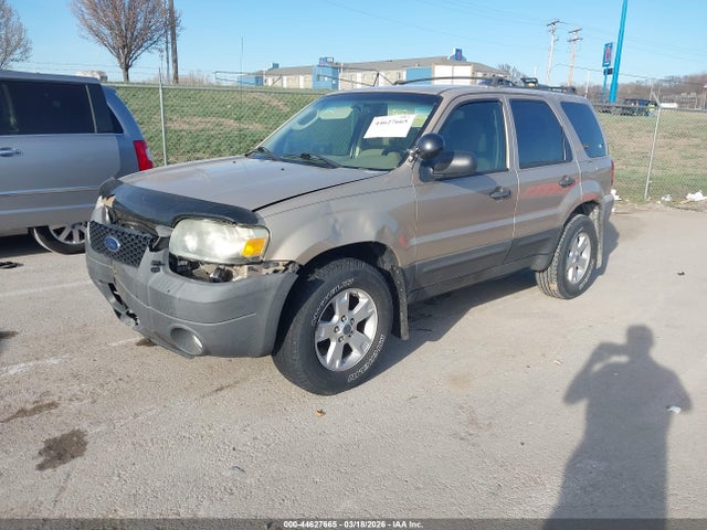 Auction sale of the 2007 Ford Escape Xlt/xlt Sport, vin: 1FMYU031X7KB25481, lot number: 44627665