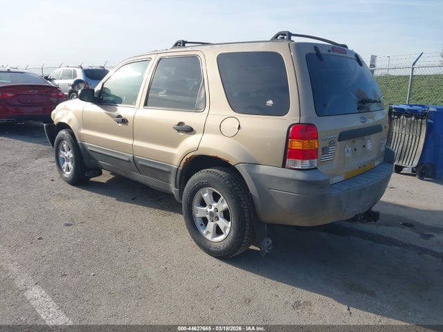 Auction sale of the 2007 Ford Escape Xlt/xlt Sport, vin: 1FMYU031X7KB25481, lot number: 44627665