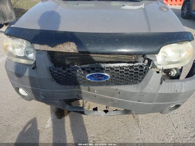 Auction sale of the 2007 Ford Escape Xlt/xlt Sport, vin: 1FMYU031X7KB25481, lot number: 44627665