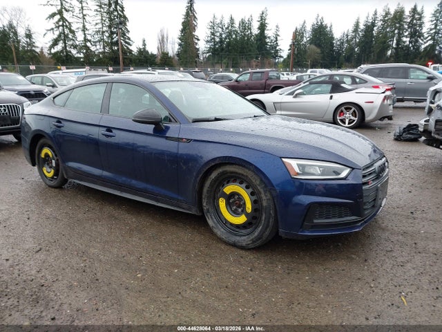 2019 AUDI S5 WAUB4CF53KA047261