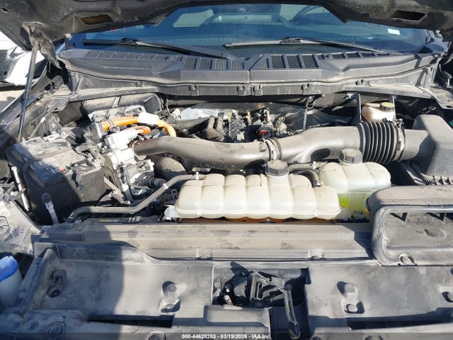 Ford F-150 Xlt 2024 1FTFW3LD5RFA36821 Image 10