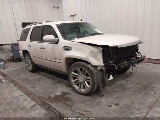 2010 CADILLAC ESCALADE HYBRID 1GYUKFEJ9AR223595