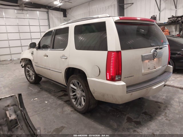 2010 CADILLAC ESCALADE HYBRID 1GYUKFEJ9AR223595 Photo 2