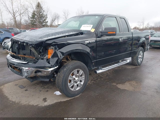 Aukcja sprzedaży 2011 Ford F-150 Xlt, vin: 1FTEX1EM3BFC29520, numer aukcji: 44628828