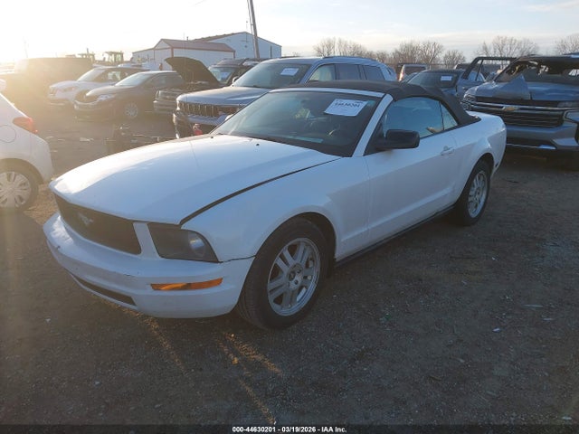 2007 FORD MUSTANG 1ZVHT84N675361788 Photo 1