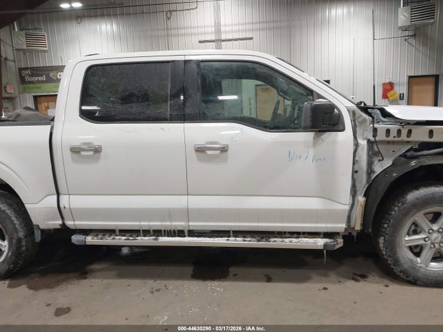 Ford F-150 Xlt 2025 1FTEW3LP2SKE12569 Image 14