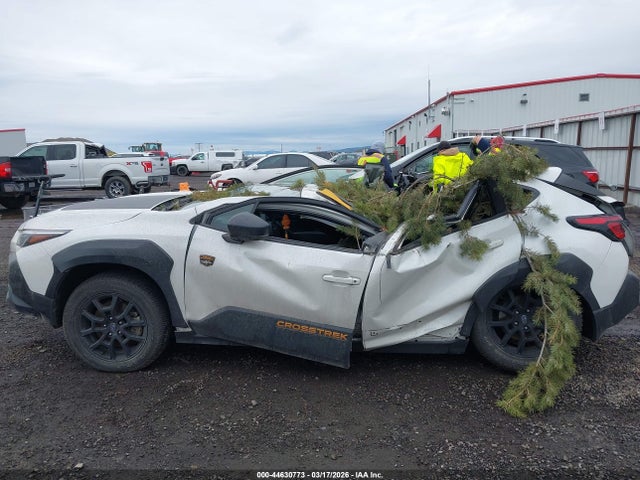 4S4GUHT65R3765990 Subaru Crosstrek Wilderness