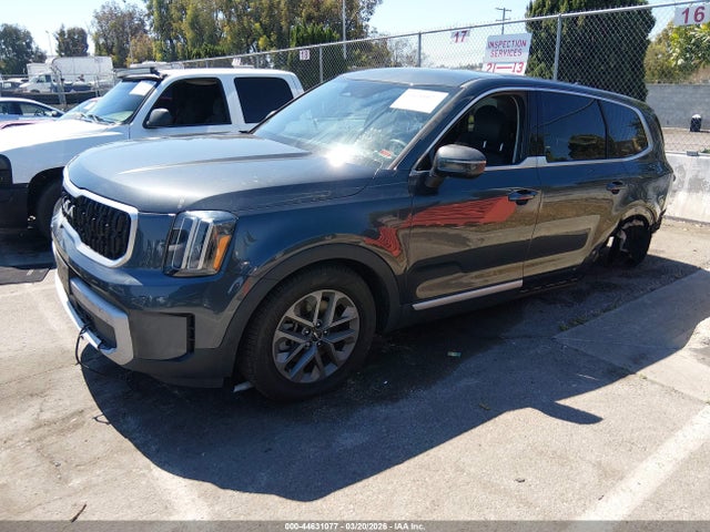 KIA Telluride Lx 2024 5XYP24GC1RG512230 Image 2