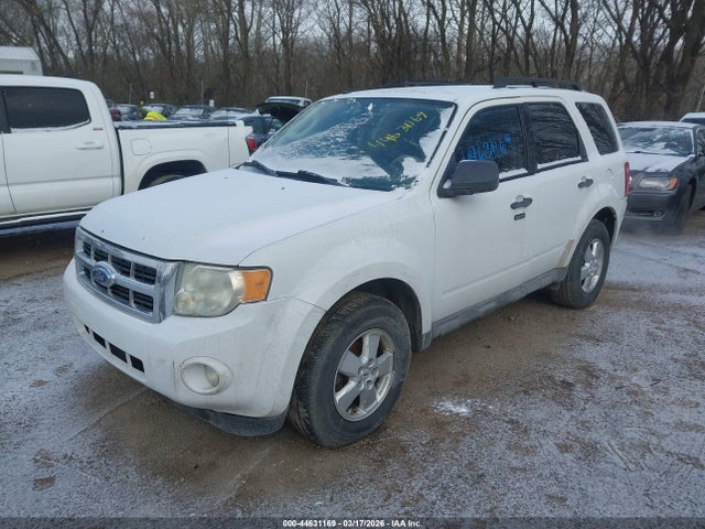 2009 FORD ESCAPE 1FMCU93G89KB61787 Photo 1