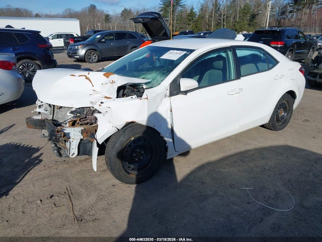 2T1BURHE1GC689032 Toyota COROLLA LE