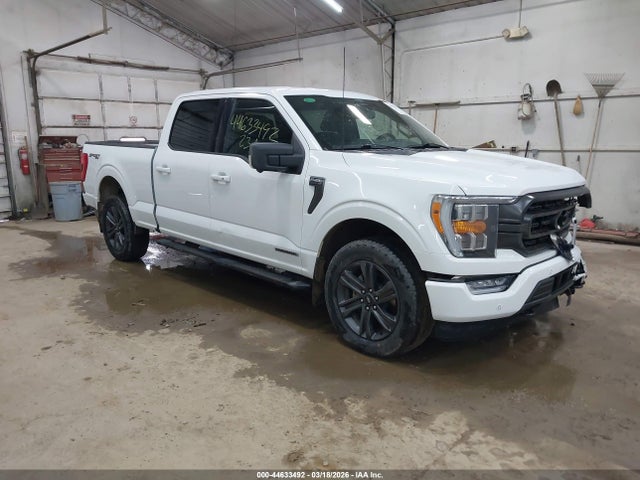 2023 FORD F-150 1FTFW1ED2PFB08668