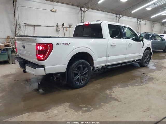 2023 FORD F-150 1FTFW1ED2PFB08668 Photo 3