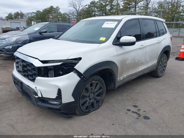 2023 Honda Passport Awd Ex-l მანქანა იყიდება აუქციონზე, vin: 5FNYF8H53PB024286, აუქციონის ნომერი: 44633657