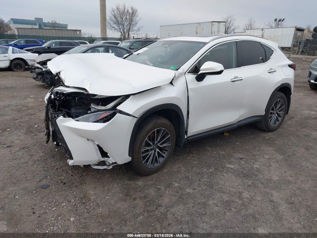 Продажа на аукционе авто 2024 Lexus Nx 350h Premium, vin: JTJGKCEZ5R5012613, номер лота: 44633758