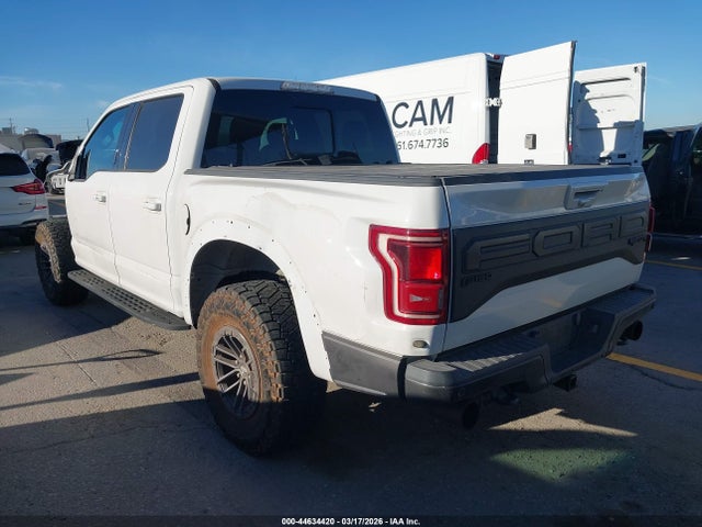 2019 FORD F-150 1FTFW1RG8KFA40258 Photo 2
