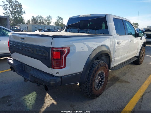 2019 FORD F-150 1FTFW1RG8KFA40258 Photo 3