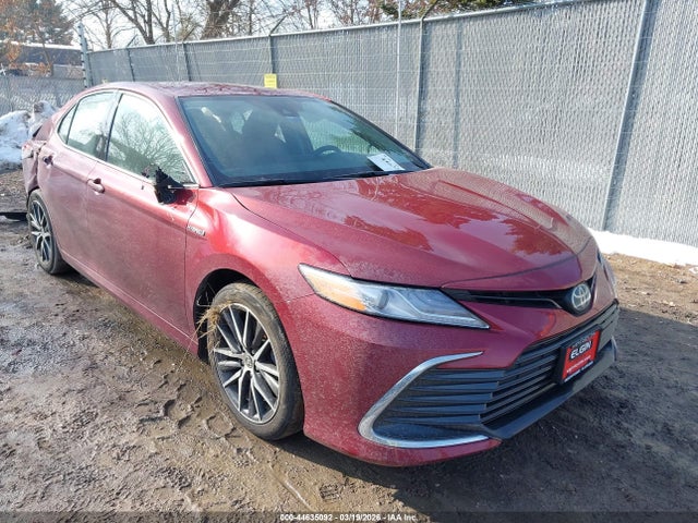 2021 TOYOTA CAMRY 4T1F31AKXMU566555