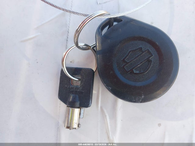 2007 HARLEY-DAVIDSON FLHRCI 1HD1FR4177Y607100 Photo 10