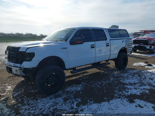 2009 FORD F-150 1FTRW14819FA68118 Photo 1