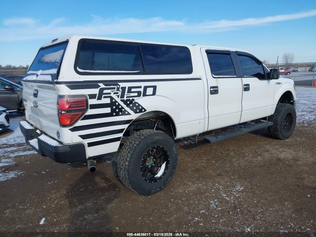 2009 FORD F-150 1FTRW14819FA68118 Photo 3