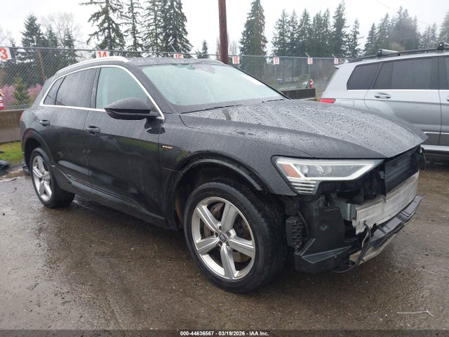 2019 AUDI E-TRON WA1LAAGE0KB023068 Photo 0