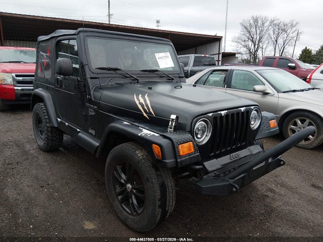 2003 JEEP WRANGLER 1J4FA39S33P325843