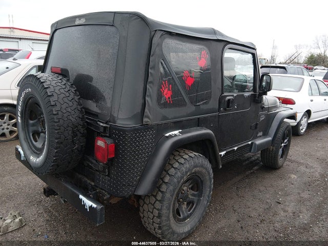 2003 JEEP WRANGLER 1J4FA39S33P325843 Photo 3