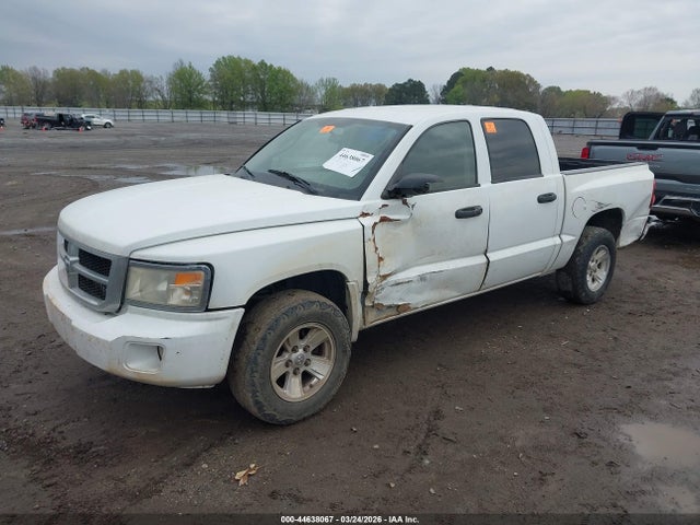 2008 Dodge Dakota Slt მანქანა იყიდება აუქციონზე, vin: 1D7HE48K98S511553, აუქციონის ნომერი: 44638067