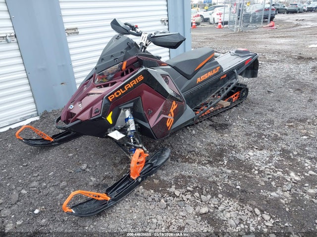 Polaris Switchback Pro-x 800 2025 SN1TLC9B4SC629382 Image 2