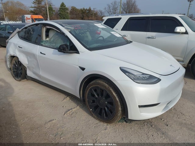 2021 TESLA MODEL Y 5YJYGDEE0MF244216