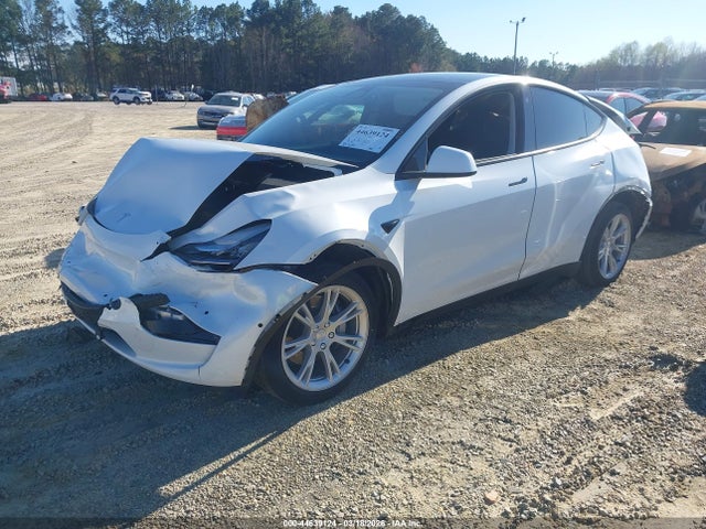 2021 TESLA MODEL Y 5YJYGDEE5MF204830 Photo 1