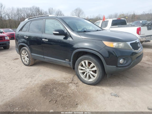 2011 KIA SORENTO 5XYKUCA17BG068248