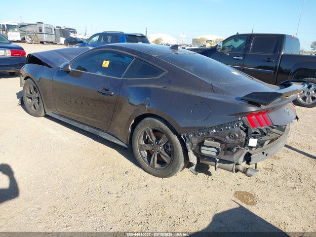 2024 FORD MUSTANG 1FA6P8TH4R5114501 Photo 2